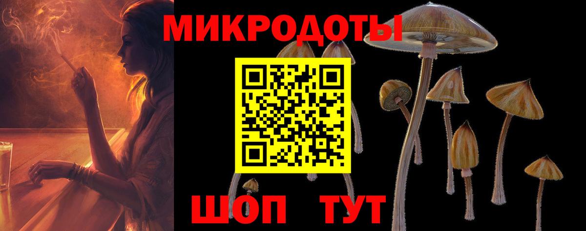Псилоцибиновые грибы Psilocybe  Вход с VPN  где найти   Усть-Илимск  Галлюциногенные грибы MAGIC MUSHROOMS 